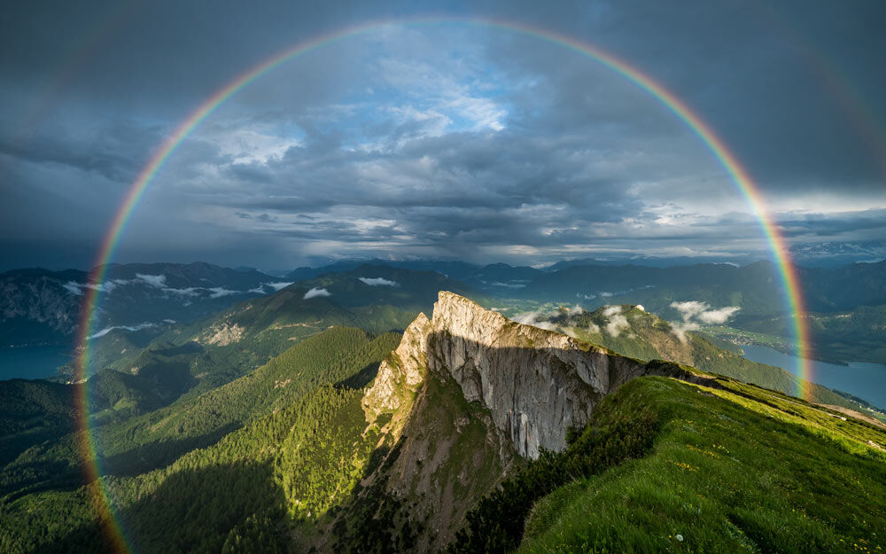 Schafberg im Sommer